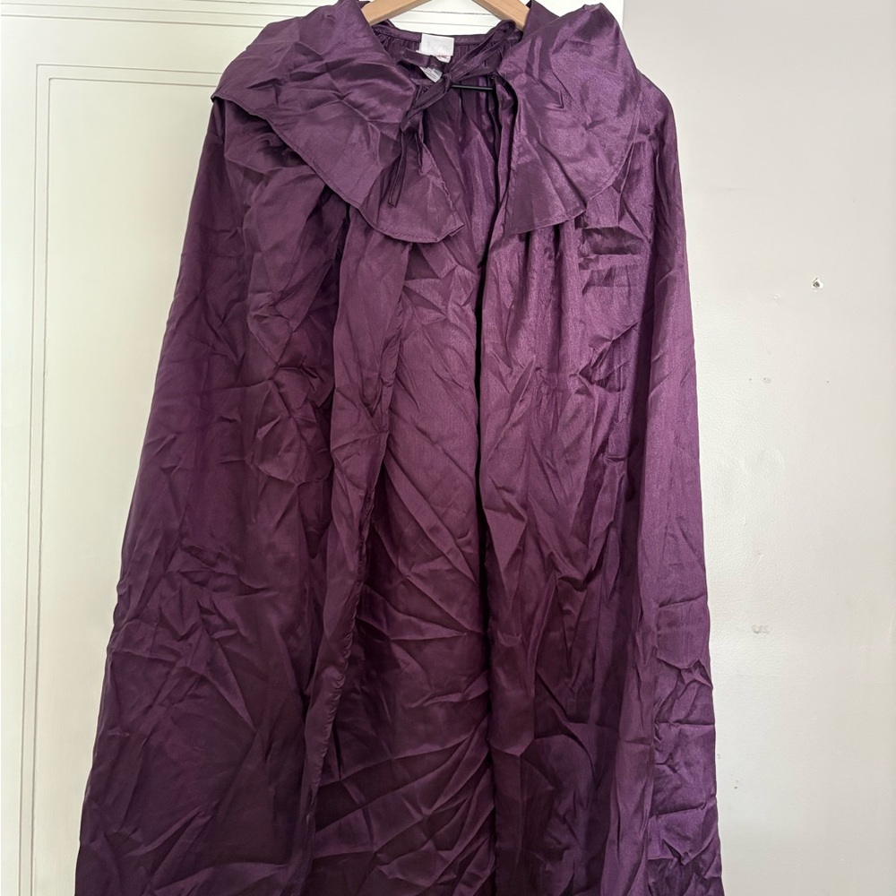 Hocus Pocus Sanderson Sisters Costumes - Picture 11 of 11